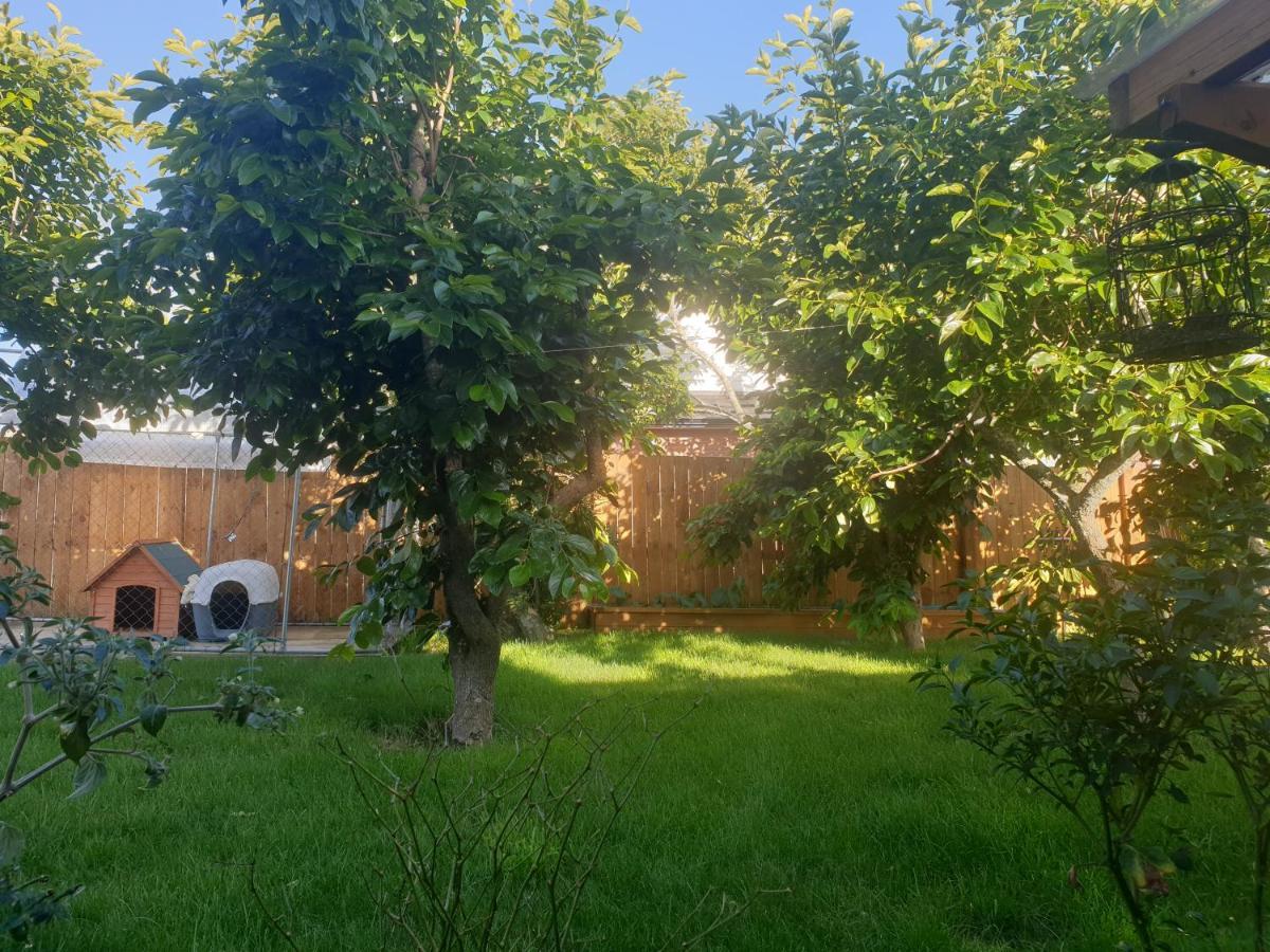 Bed N Breakfast On Pear Tree Lane Apartment Hamilton Bagian luar foto
